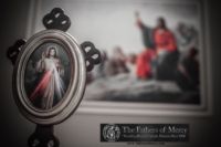 Diving Mercy Image Detail