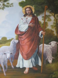 The Good Shepherd